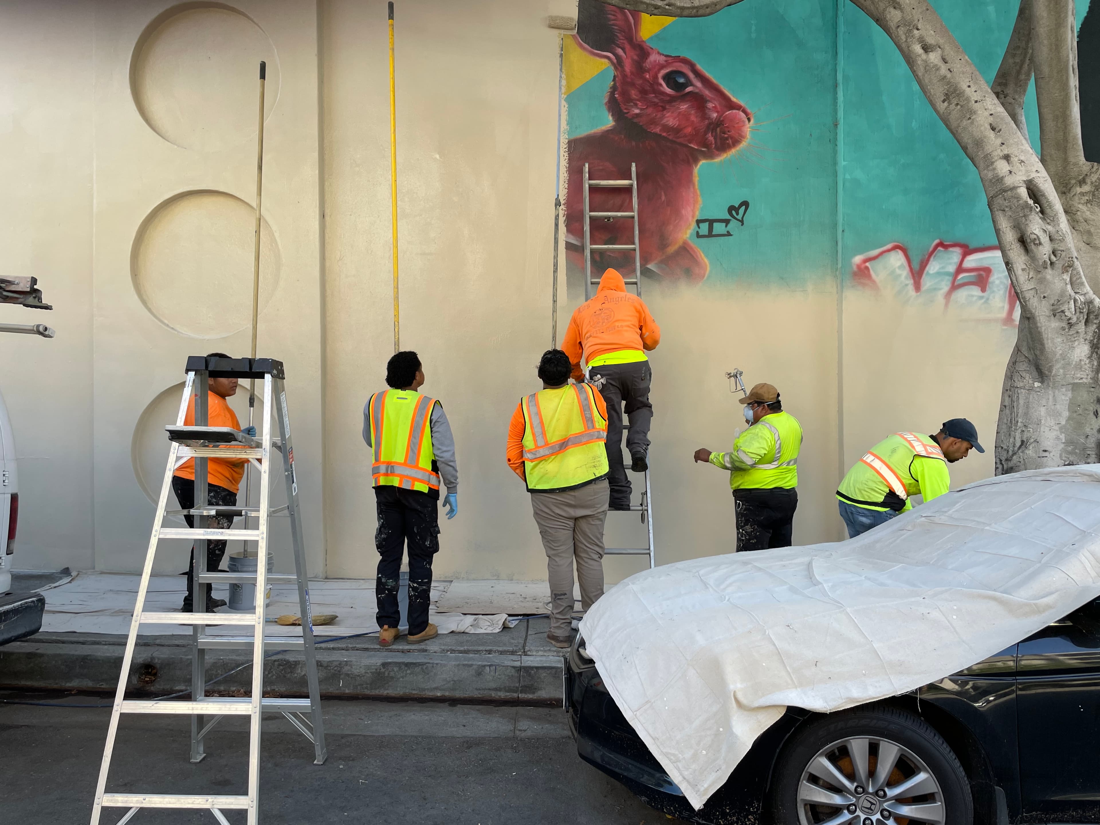 West Coast Coalition environmental services in action